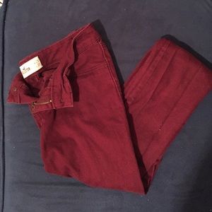 Burgundy Hollister Jeggings
