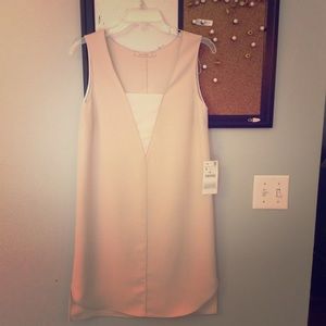 Zara shift dress