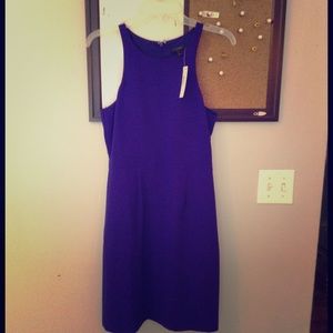 J.crew above the knee dress