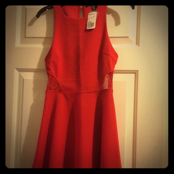 Matelasse Lace Skater Dress