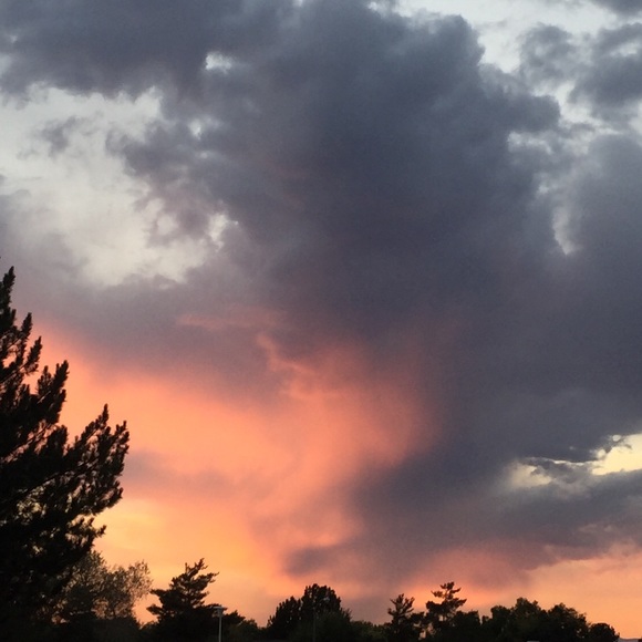 Meet your Posher, Courtney - Picture 1 of 1