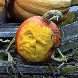 Meet your Posher, Tia