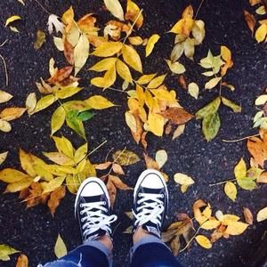 Meet your Posher, Beatriz