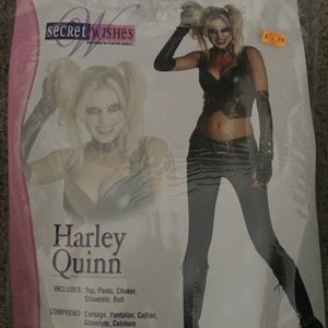 Harley Quinn (Arkham City) Halloween costume