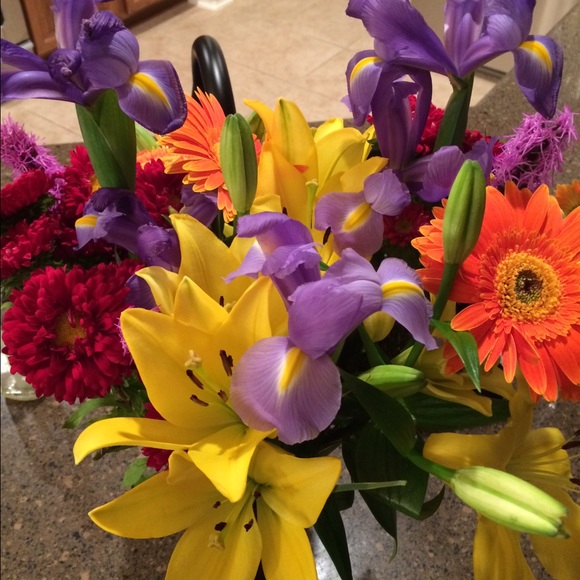 Meet your Posher, Mallory - Picture 1 of 1