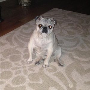 Meet your Posher, Cyn