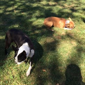 Meet your Posher, Tammy