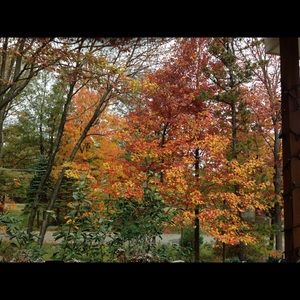 Meet your Posher, Shekema