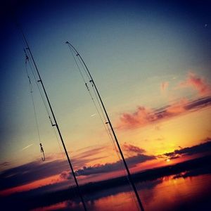 Meet your Posher, Aspyn