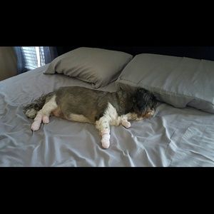 Meet your Posher, Tonya