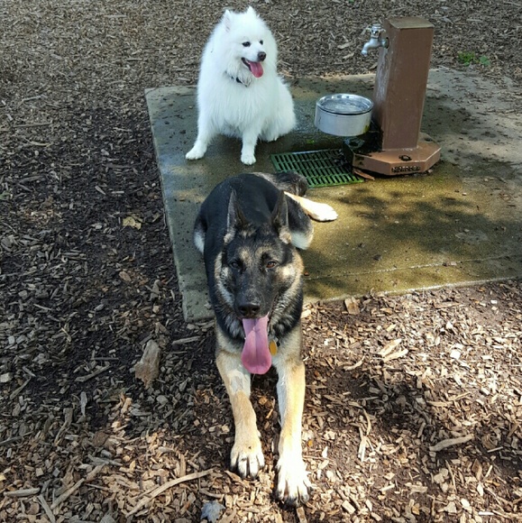 Meet your Posher, Sarah elizabeth - Picture 4 of 4