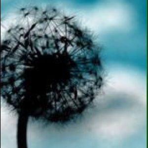 Meet your Posher, Eun