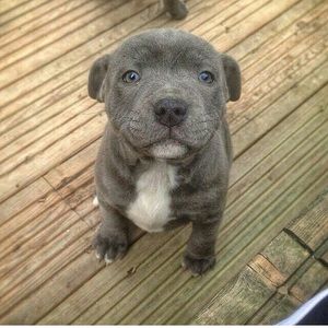 Meet your Posher, Mack