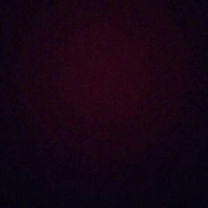 Meet your Posher, Cheyenne