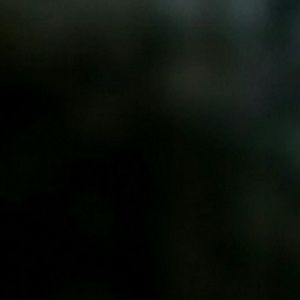 Meet your Posher, Jana