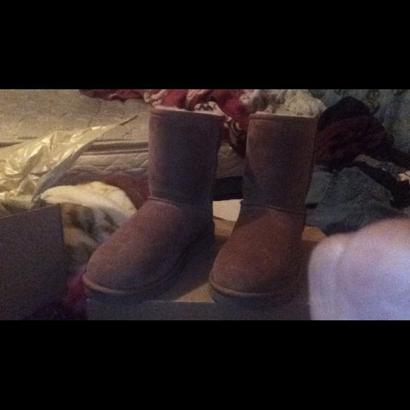 Classic Short Chestnut Uggs!