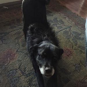 Meet your Posher, Nancy