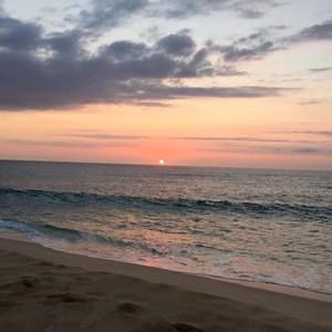 Meet your Posher, Michele