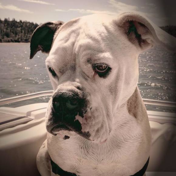 Meet your Posher, Jennifer