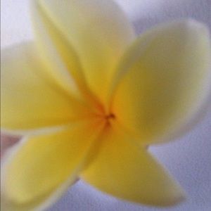 Meet your Posher, Joanne