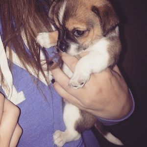 Meet your Posher, Jillian