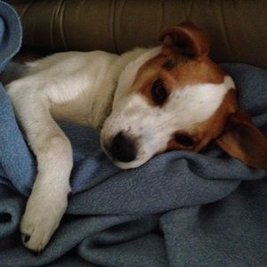 Meet your Posher, Margaret