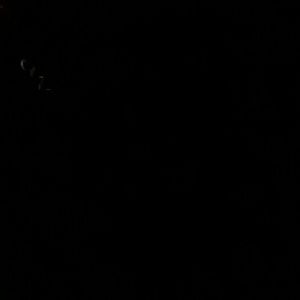 Meet your Posher, Jane