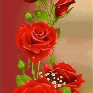 Meet your Posher, Miranda