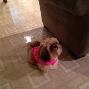 Meet your Posher, Claudia