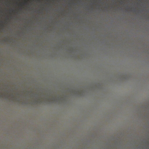 Meet your Posher, Holly