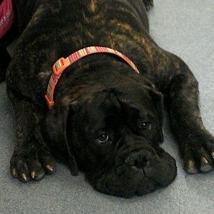 Meet your Posher, Dee