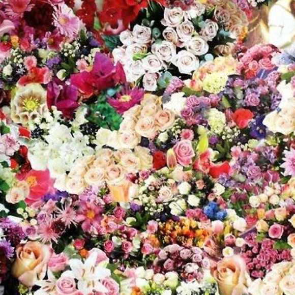 Meet your Posher, Lillian