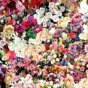 Meet your Posher, Lillian