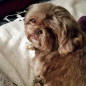 Meet your Posher, Christine