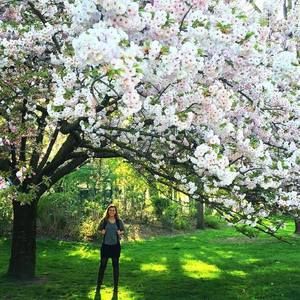 Meet your Posher, Alex