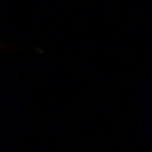 Meet your Posher, Inaya