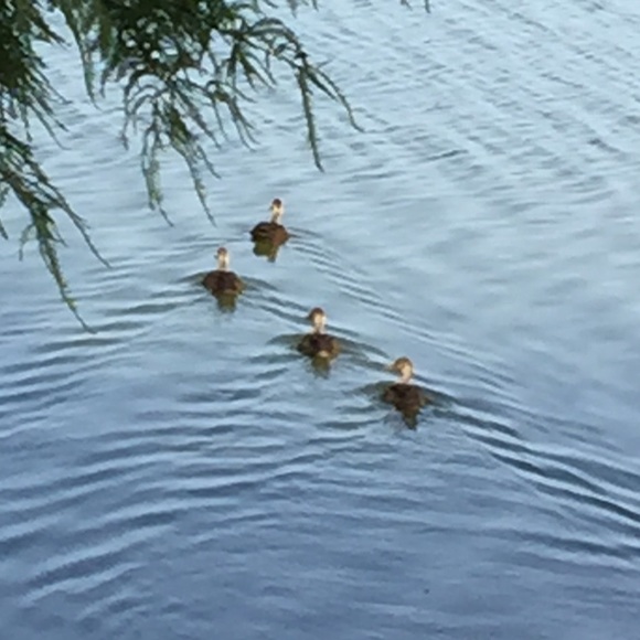 Meet your Posher, **christy - Picture 3 of 4