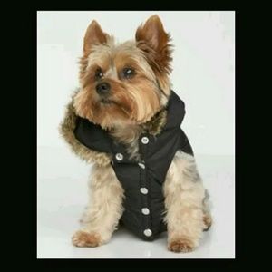 Xs JUICY COUTURE DOGGIE HOODIE BRAND NEW