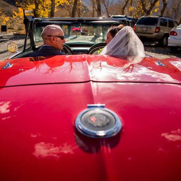 Meet your Posher, Bailee - Picture 1 of 1