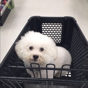 Meet your Posher, Sarah