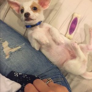 Meet your Posher, Emily