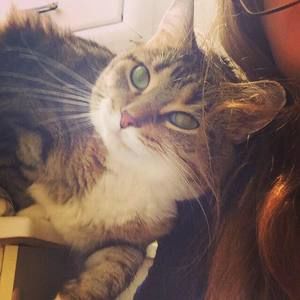 Meet your Posher, Karissa