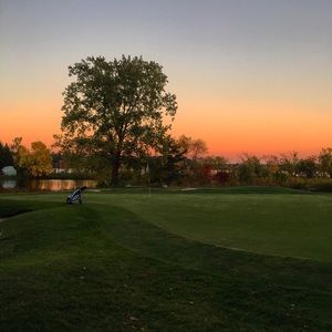 Meet your Posher, Carolyn