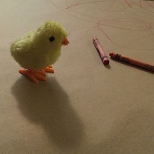 Meet your Posher, Sam