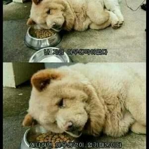 Meet your Posher, Seungmin