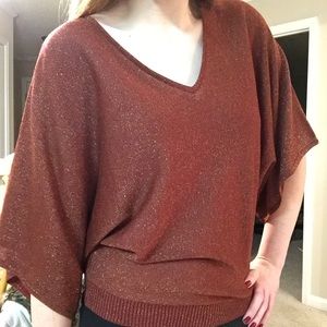 Sheer, Sparkly Burnt Orange Top