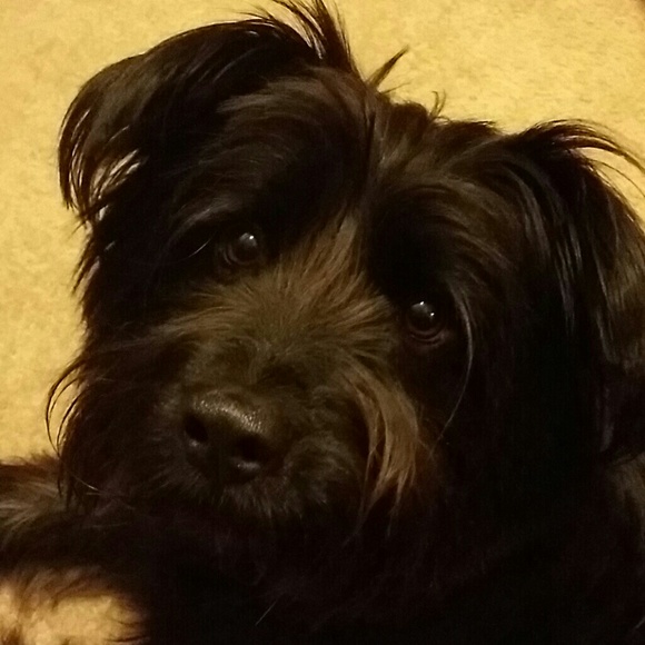 Meet your Posher, Monique - Picture 2 of 2