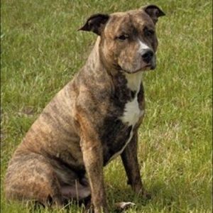 Meet your Posher, Gary