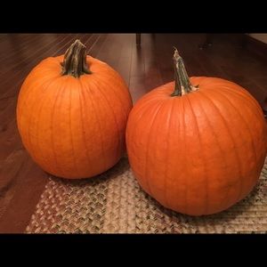 Meet your Posher, Concetta