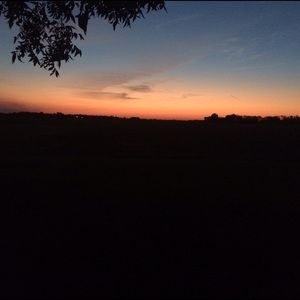 Meet your Posher, Jerrison